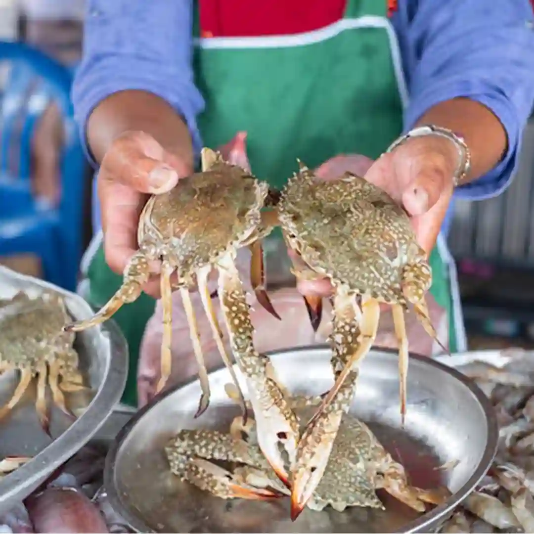 KEPITING
