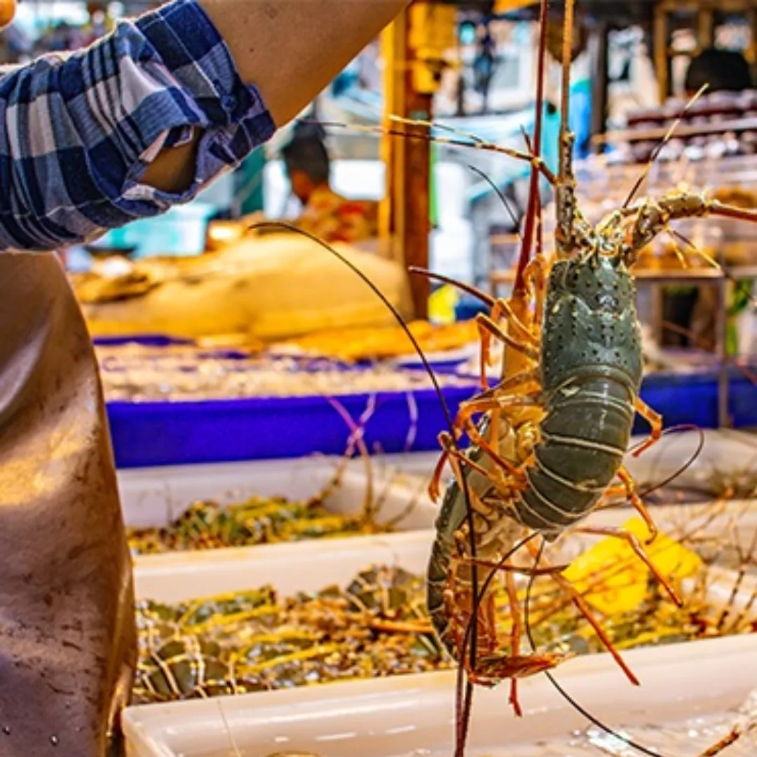 Lobster 2